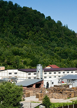 DOLLE SOGEM factory in Romania  